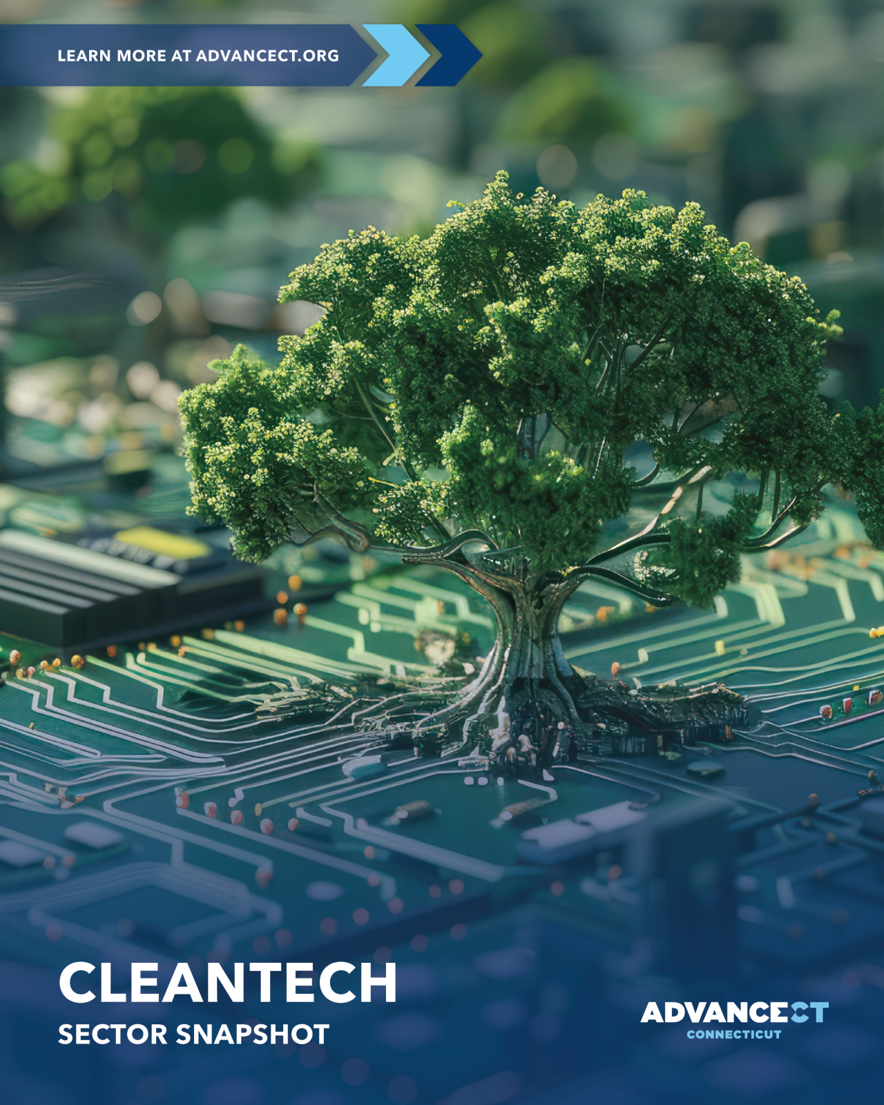 Cleantech Sector Snapshot - Tree growing on a circuit